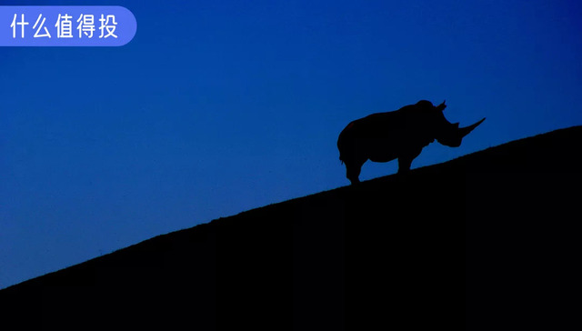 犀牛,柔性生产,阿里巴巴