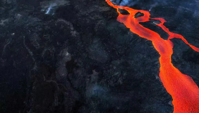 电动车,中国市场,特斯拉,大众