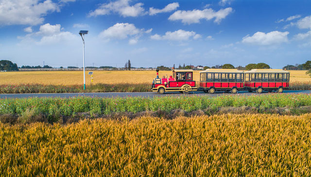 长三角观察 |乡村振兴战略实践 震泽特色田园乡村带进入收获季