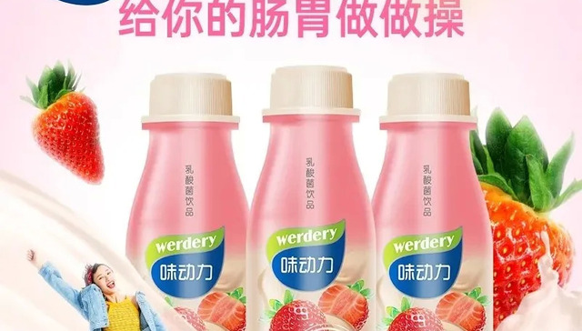 财报,乳业,投资