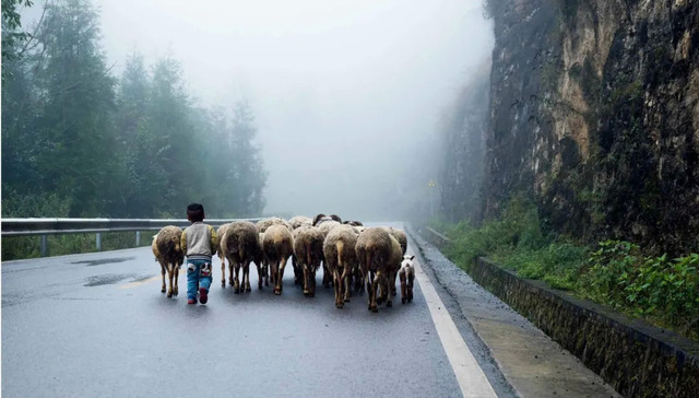 工商银行,杨凯生,公益