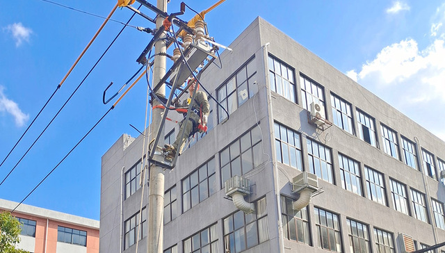 宁波电网：畅通供电“血管”，保障城网安全度冬