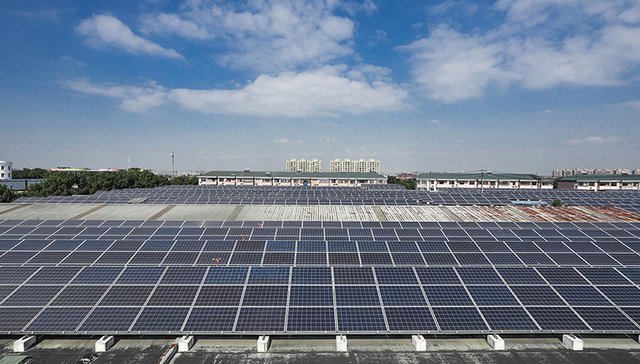 电力护航让“阳光”成为村民致富的“聚宝盆”