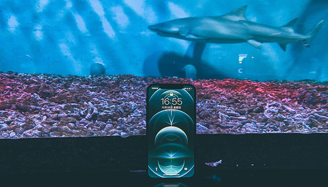 苹果,iPhone,科技