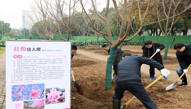 繁花似锦、四季有花，宁波鄞州文化广场即将蝶变迎客