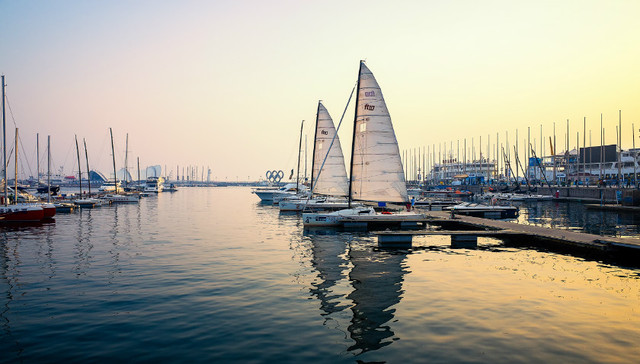 深圳特区40年的青岛启示⑨：鼓励创新、宽容失败，让青岛成为梦开始的地方