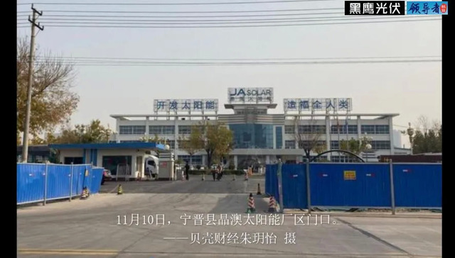 光伏,晶澳科技,业绩,靳保芳
