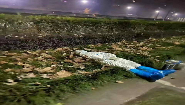 火爆网络的“草地哥”，原来是最美医护小姐姐