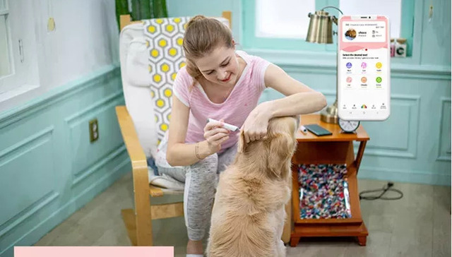 人工智能,宠物经济,智能硬件