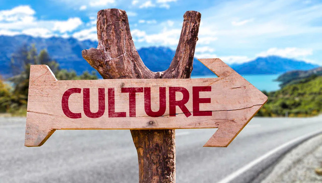 企业管理,人力资源,企业文化