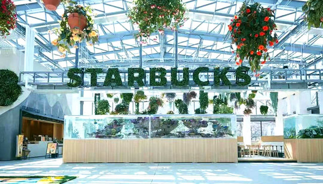 2020仍在疯狂开新店的星巴克，又带来了哪些好的店铺设计？