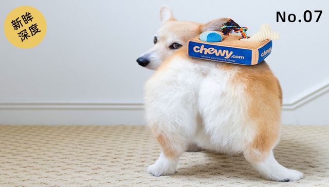 消费,宠物经济,电商