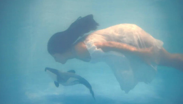 数字生育、为鲸代孕：艺术中的伦理颠覆