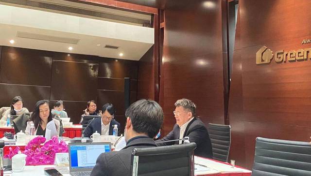 绿地集团,业绩,混改,张玉良