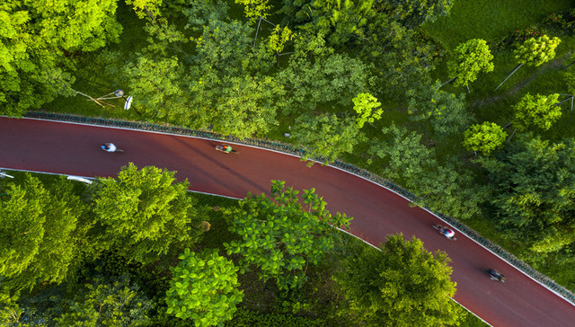 江油市2020年民生实事人大代表票决项目实施情况综述