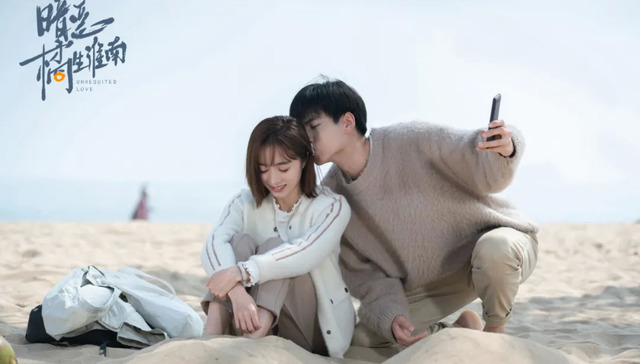 影视产业,暗恋橘生淮南,制片人赵文靖