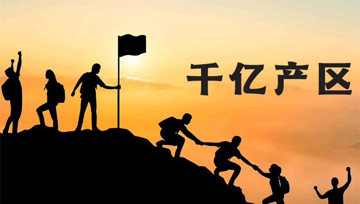 白酒,中国市场,泸州老窖