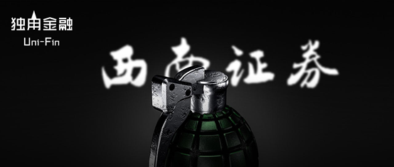 西南证券,,暴雷,债务