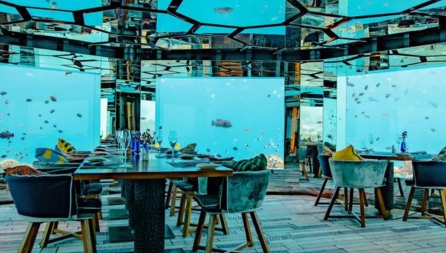 餐饮,科技,消费