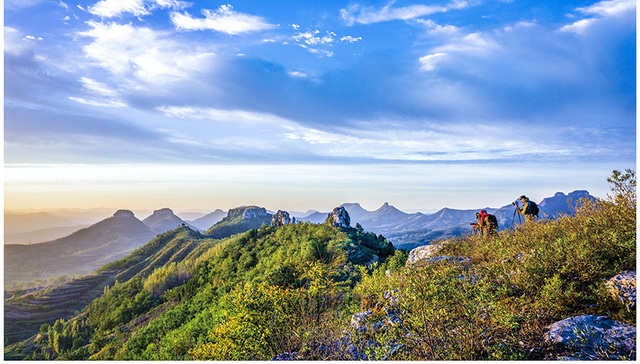 “强省会”战略观察 | 厚植特色产业，擦亮乡村振兴的“平阴名片”