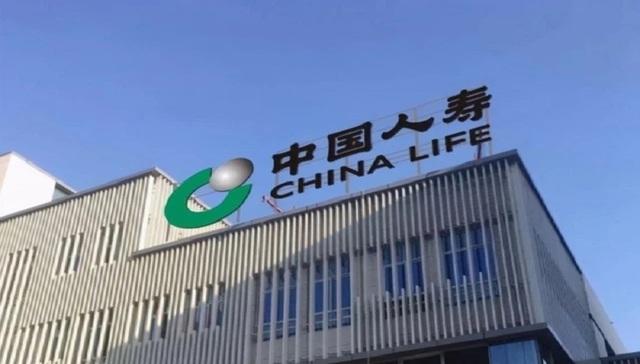 举报,中国人寿,造假