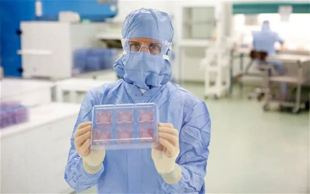 化妆品,产品安全,动物测试,动物福利