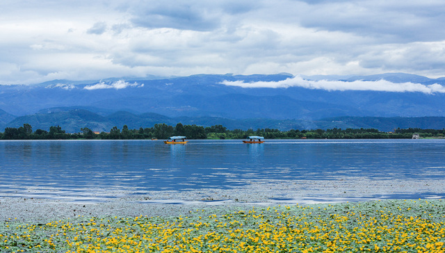 跟着这份攻略走进春天里，四川最新发布100个赏花踏青点位