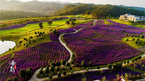 文旅應該換個角度，買一城換住更廣闊的“百城”