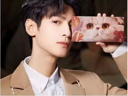 消费,品牌,花西子