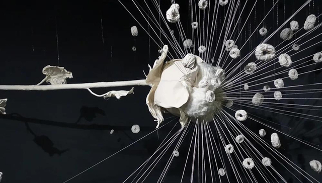 棉花柔软但不软弱，7位艺术家做成意想不到的艺术品