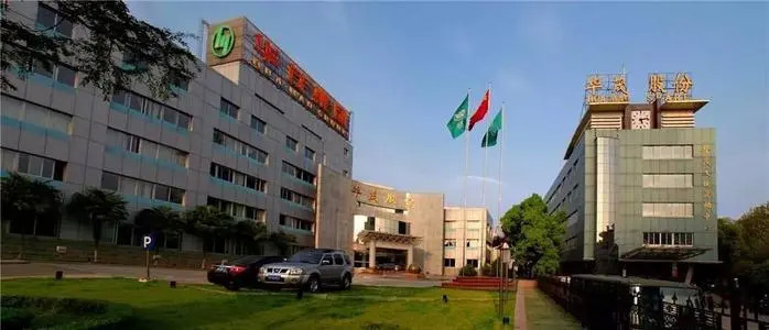 服装业,上市公司,华茂股份,业绩