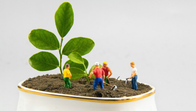 成都市第二人民医院驻炉霍医疗队开展党史教育及义务植树活动