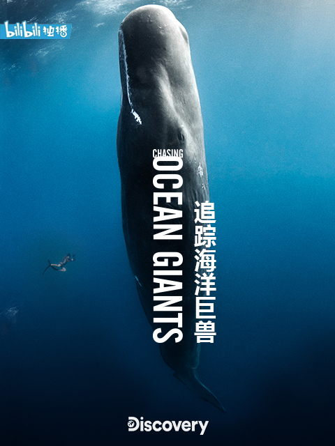 纪录片,行业观察