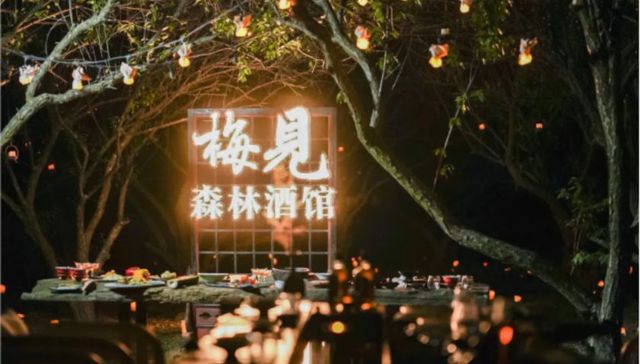 这群人在中国最隐秘的青梅林，复刻了一场千年前的宋宴