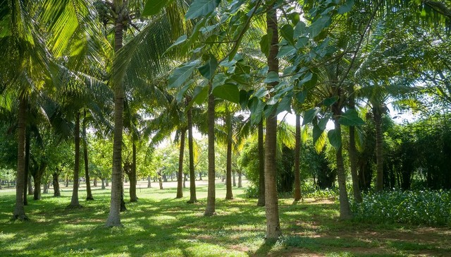 “五一”海口旅游打卡攻略指南来了