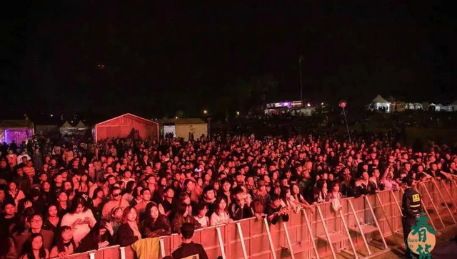 音乐节,娱乐,旅游