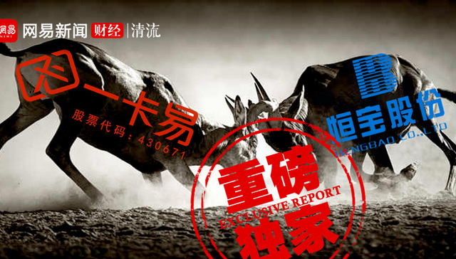 恒宝,资本运作,投资