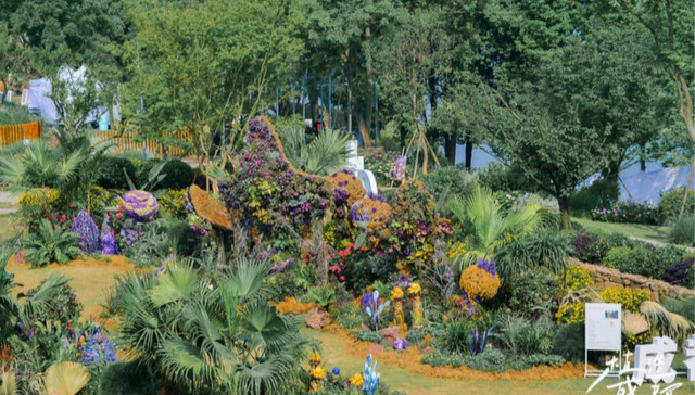 成都惊现现实版“爱丽丝梦游仙境”，一秒坠入童话