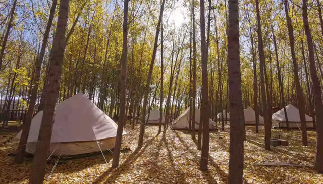 旅游产业,文旅产业,资本市场