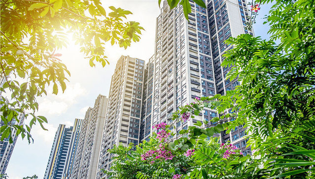 集中在东部！深圳五月17盘待入，刚需改善全都有