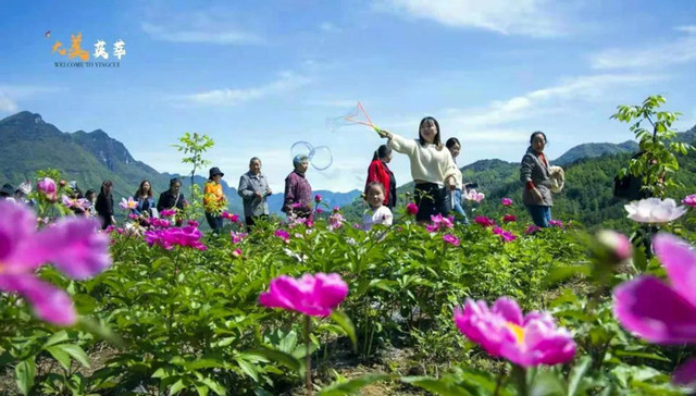 五一假期，旺苍县迎客14.04万人次，旅游收入4703.4万元