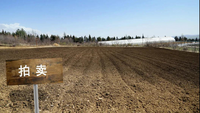 落幕，138.44亿，龙光佳兆业拿下深圳今年第一批商品房用地