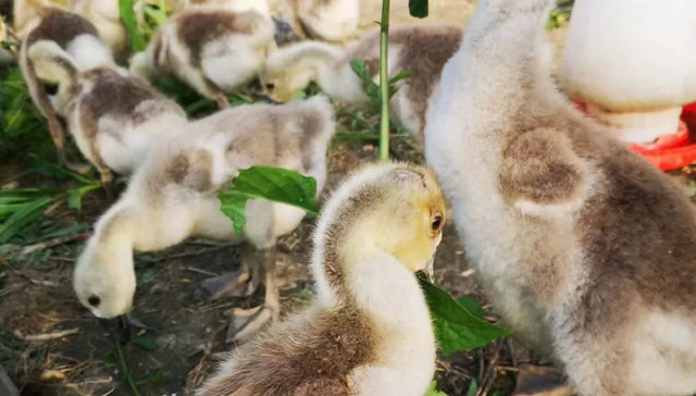 财务自由,房地产,生活方式