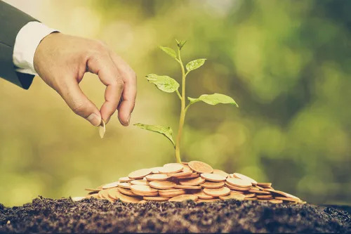 巴菲特,投资理念,投资组合