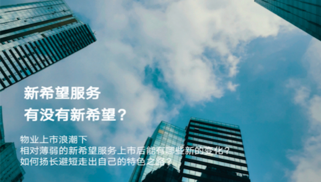 新希望地产,信息网服务,业绩,资本市场
