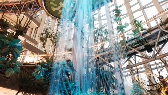 购物中心,消费,商业