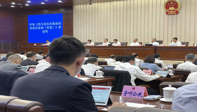 土地所有权、宅基地、自留地、自留山：这些集体资产不能抵押