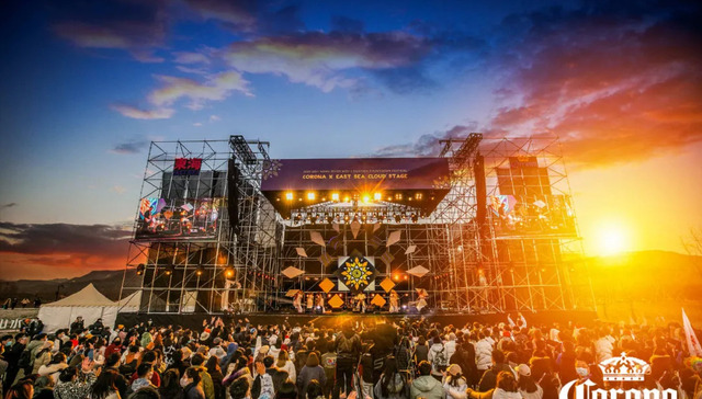 音乐节,行业观察