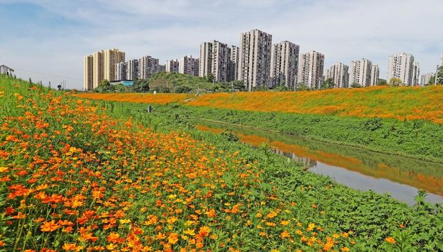 重庆征地土地费安置费如何补偿，快看这里！
