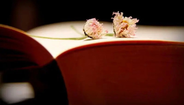 教育产业,资本市场,衡水中学,资本化